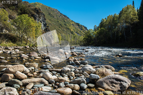 Image of Fast mountain river in Altay