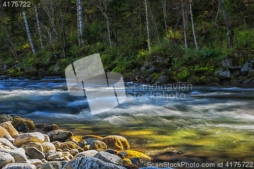 Image of Fast mountain river in Altay