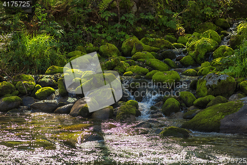 Image of Fast mountain river in Altay