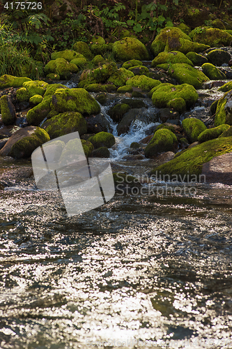 Image of Fast mountain river in Altay