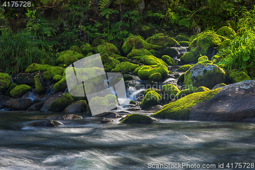 Image of Fast mountain river in Altay