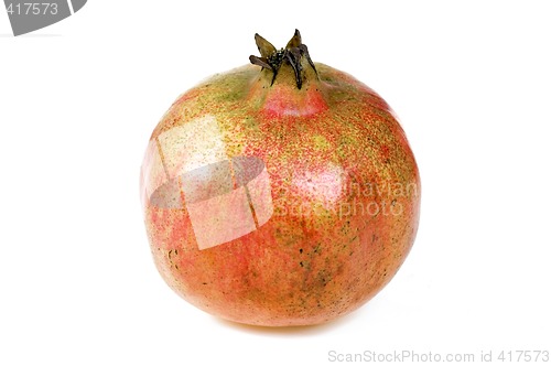 Image of Pomegranate