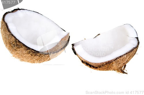 Image of Coconut isolated