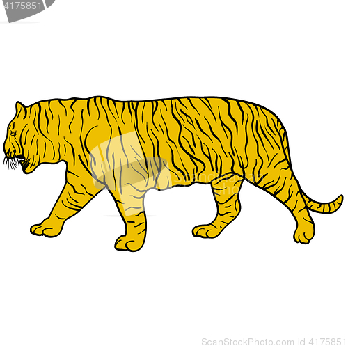 Image of Sketch beautiful tiger on a white background. illustration