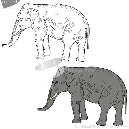 Image of Sketch a large African elephant on a white background. illustration