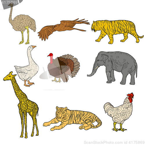 Image of Sketch elephant, tiger, eagle, rooster, giraffe, ostrich, turkey, goose. chicken on a white background. illustration