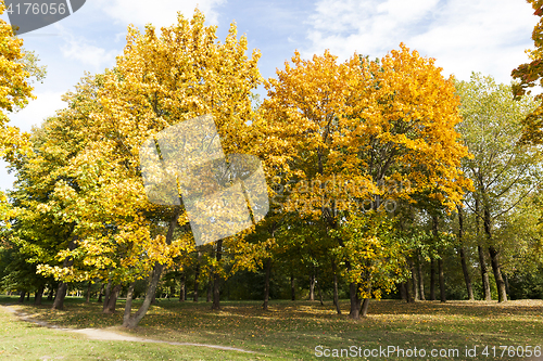 Image of Maple Park in autumn