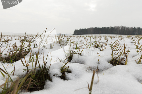 Image of in winter, day