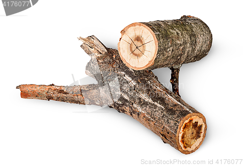 Image of Two poplar logs rotated