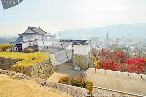 Image of Tsuyama castle view and red autumn leaves