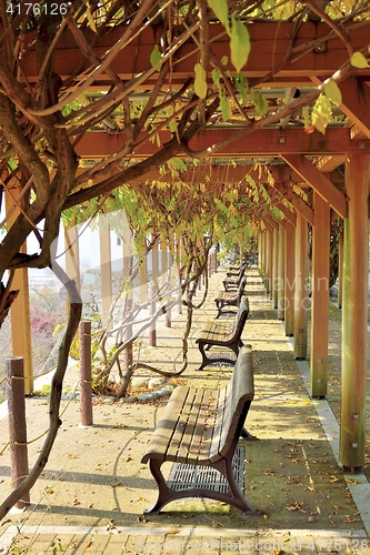 Image of Tsuyama castle park with viewpoint benches