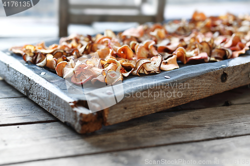 Image of Dietary apple chips. Dried fruits.