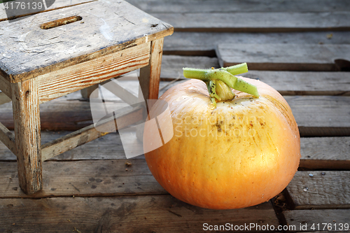 Image of Variety of pumpkin. Season the pumpkin.