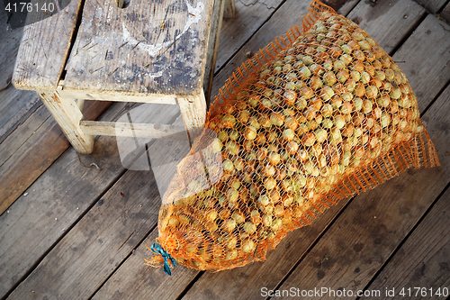 Image of Hazelnuts in a sack.