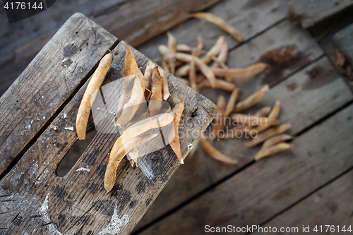 Image of Mature pods of beans