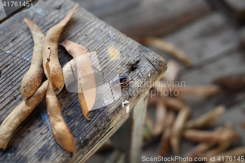 Image of Legumes. Bean.