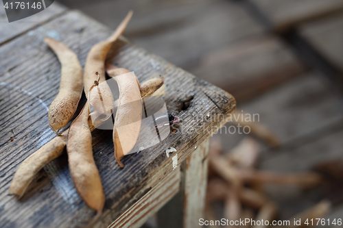 Image of Pea. Mature pods of beans