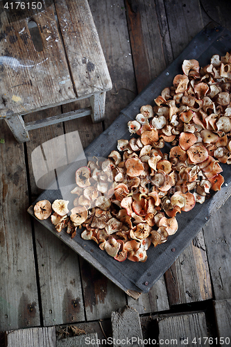 Image of Dietary apple chips. Dried fruits.