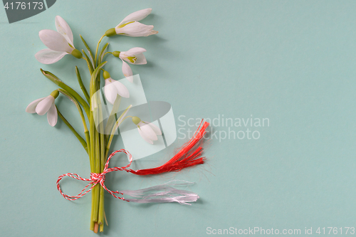 Image of Macro snowdrops bucket 