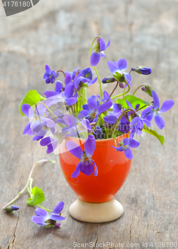 Image of violets flowers (Viola odorata) 