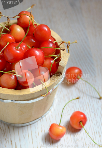 Image of Fresh cherries in a bucket 