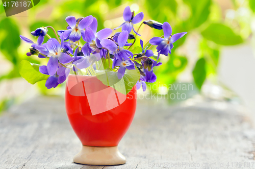 Image of violets flowers (Viola odorata)