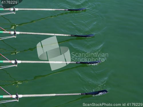 Image of Close up oars of quadruple skulls rowing team race