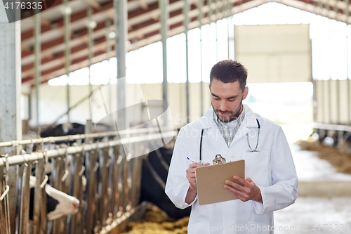 Image of veterinarian with cows in cowshed on dairy farm