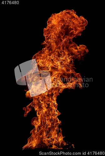 Image of Fire isolated on black background.