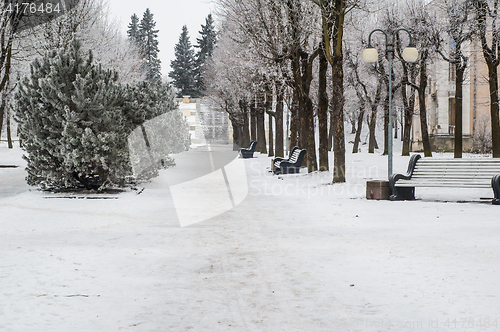 Image of City park in the winter, the trees covered with hoarfrost