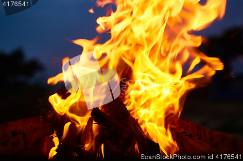 Image of Fire flames background