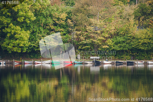 Image of Boats on a row in a lake surrounded by green trees