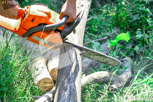 Image of Chainsaw cut wooden logs