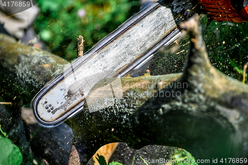 Image of Chainsaw cut wooden logs