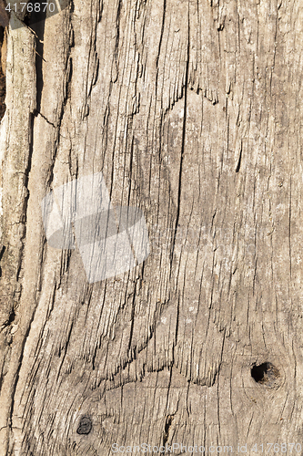 Image of the destruction of wood from moisture