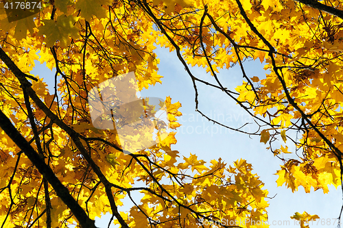 Image of Maple Park in autumn