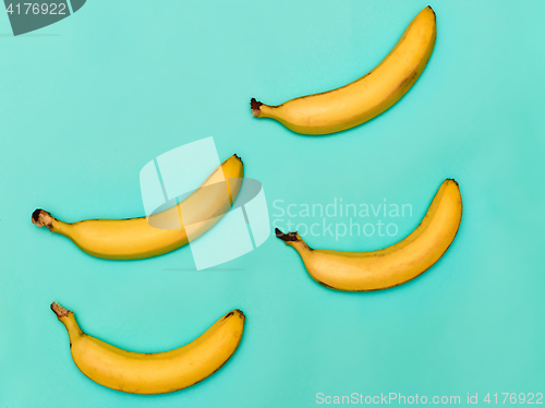 Image of The group of bananas against blue background