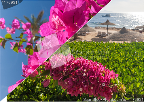 Image of The beach at the luxury hotel, Sharm el Sheikh, Egypt