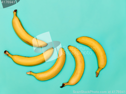 Image of The group of bananas against blue background