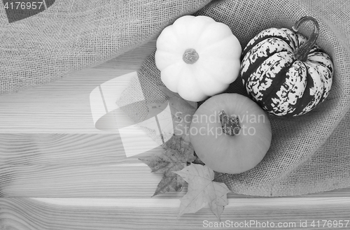 Image of Three autumn gourds with maple leaves 