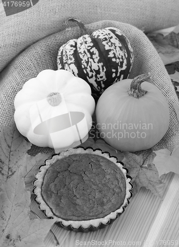 Image of Small pumpkin pie with leaves and gourds