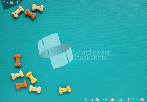 Image of Dog biscuits scattered on a turquoise background