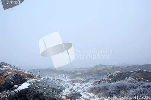 Image of Foggy winter landscape