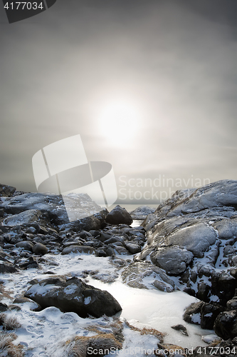 Image of Foggy winter landscape