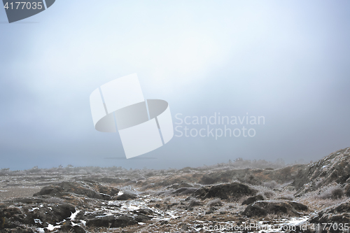 Image of Foggy winter landscape