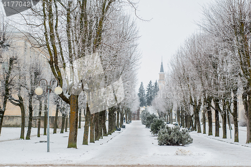 Image of City park in the winter, the trees covered with hoarfrost