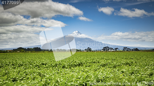 Image of Mount Taranaki in New Zealand