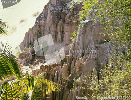 Image of green landscape with palms and white sand rocks, fairy stream vi