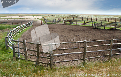 Image of Fence in a Danish landscapes in the summer