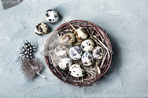 Image of quail eggs